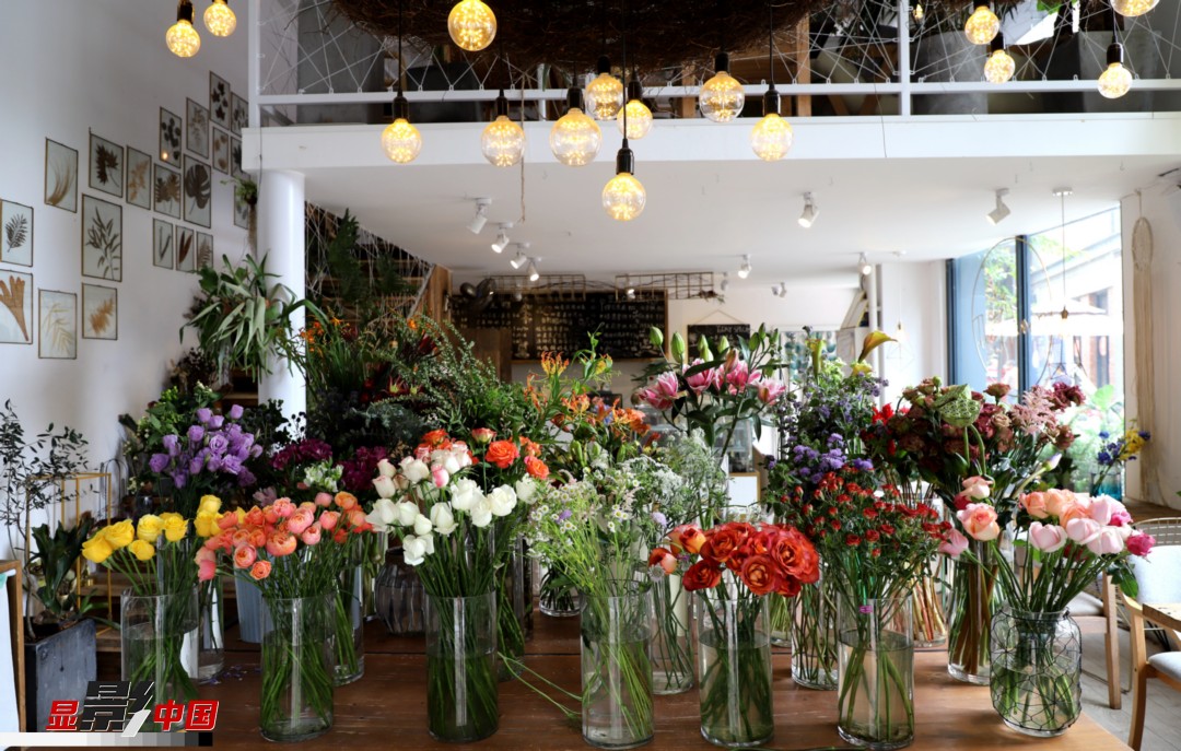 從決定從事鮮花這個行業(yè)以來，王黎媛花了很多的時間和精力去學習花藝，不斷提高自己的專業(yè)水平。而在小店的選址、裝修和布置方面，王黎媛同樣花費了不少心思，“希望我的小店和鮮花一樣，是有溫度的、鮮活的。”另外，小小的花店也藏著大大的夢想，“我們云南鮮花很多，但真正做成品牌的卻很少，這是非?？上У?。我希望把我的店做成品牌，不光能扎根昆明，還能落地到云南的其他城市，甚至省外的城市。”圖為王黎媛的花店一角。新華網 周亞平/攝 念新洪/文